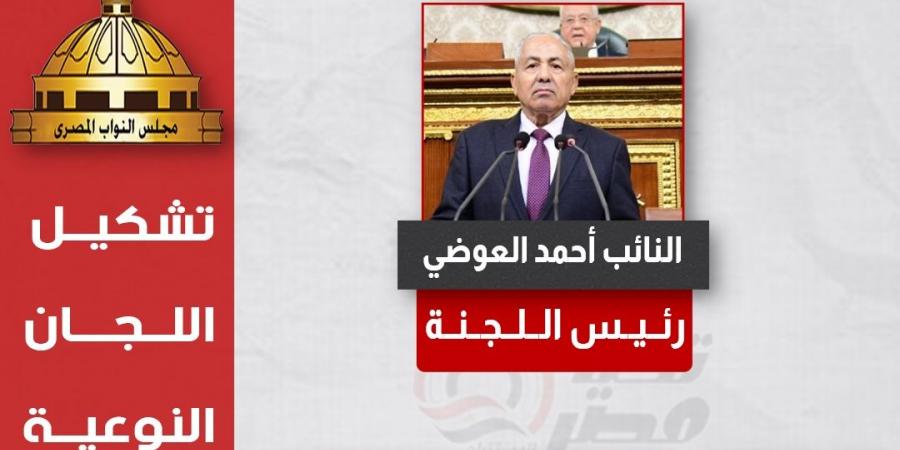 تحيا مصر ينشر تشكيل هيئة مكتب لجنة الدفاع والأمن القومي بدور الانعقاد الخامس - بلس 48