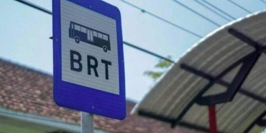 بالبلدي : وظائف مشروع الأوتوبيس الترددي BRT.. الشروط والأوراق المطلوبة - بلس 48