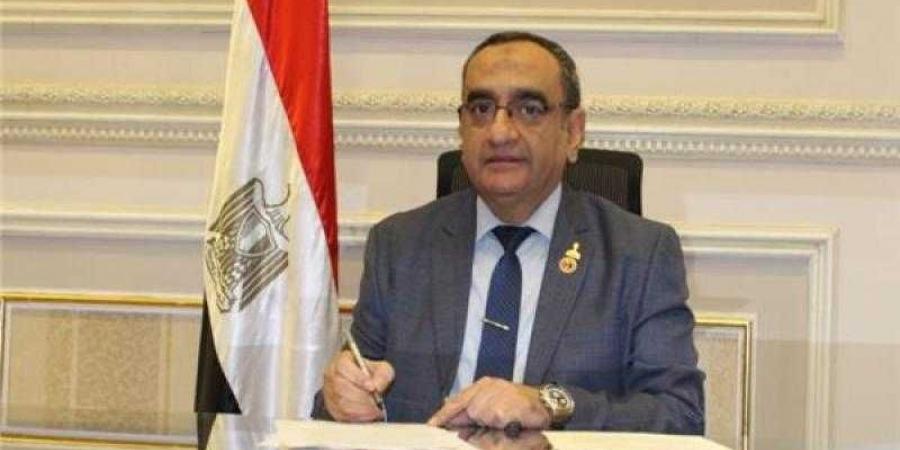 برلماني: حرب أكتوبر ملحمة مصرية خالدة أبطالها ... - بلس 48