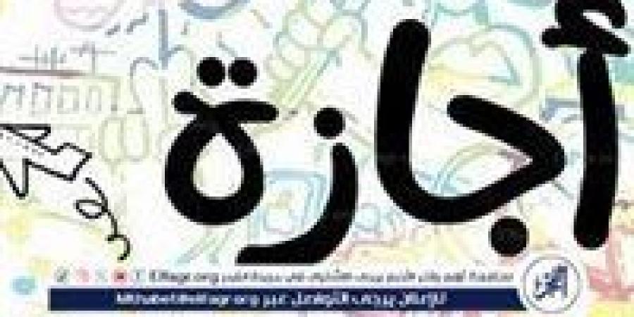 بالبلدي: إجازات العاملين بقطاعات الدولة بعد 6 أكتوبر 2024: كل ما تحتاج معرفته - بلس 48