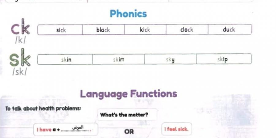 بالبلدي: ملخص الوحدة الثانية لغة انجليزية في 4 ورقات لـ الصف الثالث الابتدائي - بلس 48