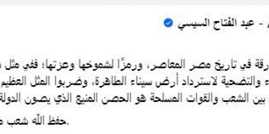 الرئيس السيسي: سيبقى نصر أكتوبر المجيد نقطة فارقة في تاريخ مصر المعاصر - بلس 48