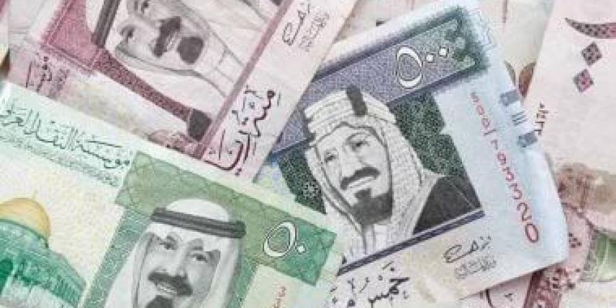 سعر الريال السعودي مقابل الجنيه في مصر اليوم الإثنين 7-10-2024 - بلس 48