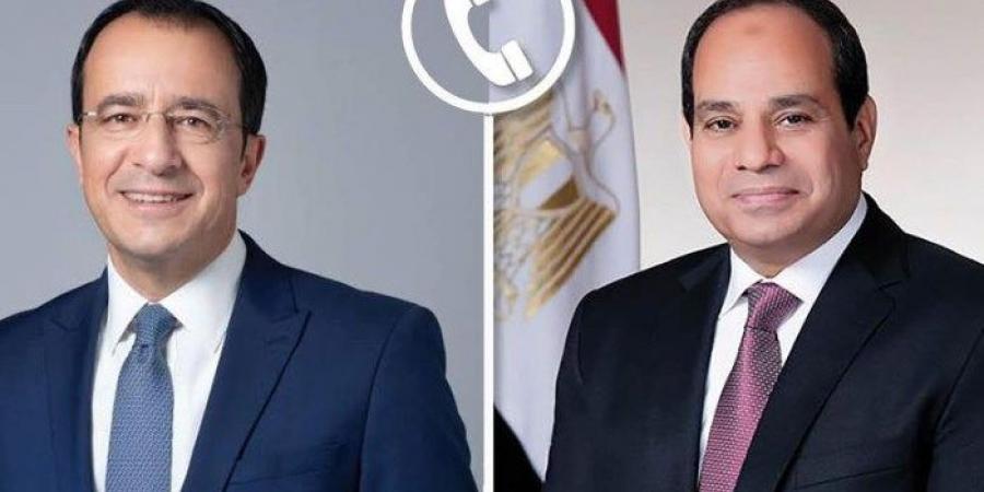 الرئيس السيسي يؤكد ضرورة وقف إطلاق النار بشكل فوري في غزة ولبنان - بلس 48