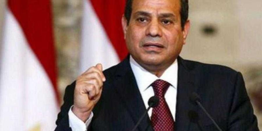 السيسي: هدفنا أن نعيش بسلام داخل حدودنا - بلس 48