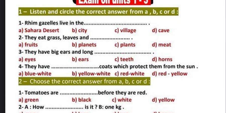 مراجعات نهائية.. امتحان لغة انجليزية على 3 وحدات لـ الصف الرابع الابتدائي ترم اول - بلس 48