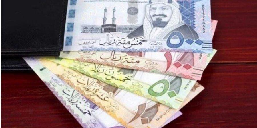 بالبلدي : سعر الريال السعودى في مصر اليوم.. الأربعاء 9 أكتوبر 2024 - بلس 48