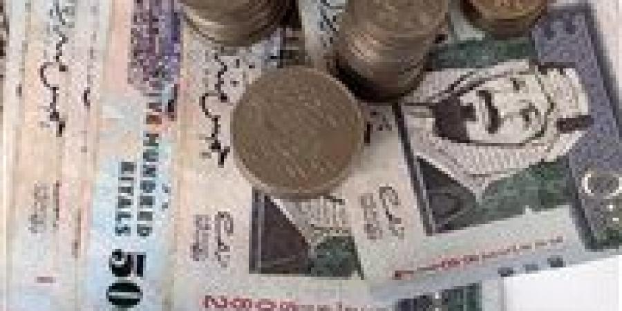 سعر الريال السعودي أمام الجنيه داخل مختلف البنوك اليوم الخميس - بلس 48