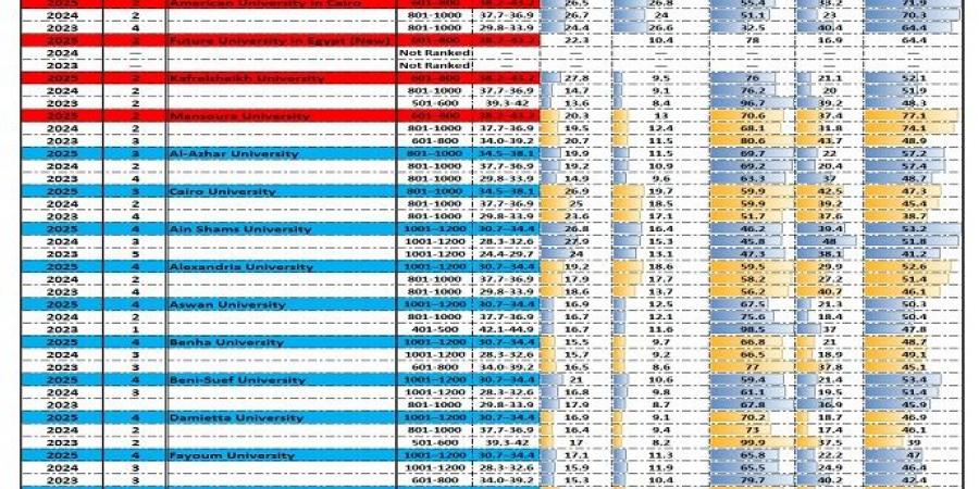 التعليم العالي تكشف عن 35 جامعة مصرية تُسجل إنجازًا مميزًا في تصنيف التايمز العالمي لعام 2025 - بلس 48