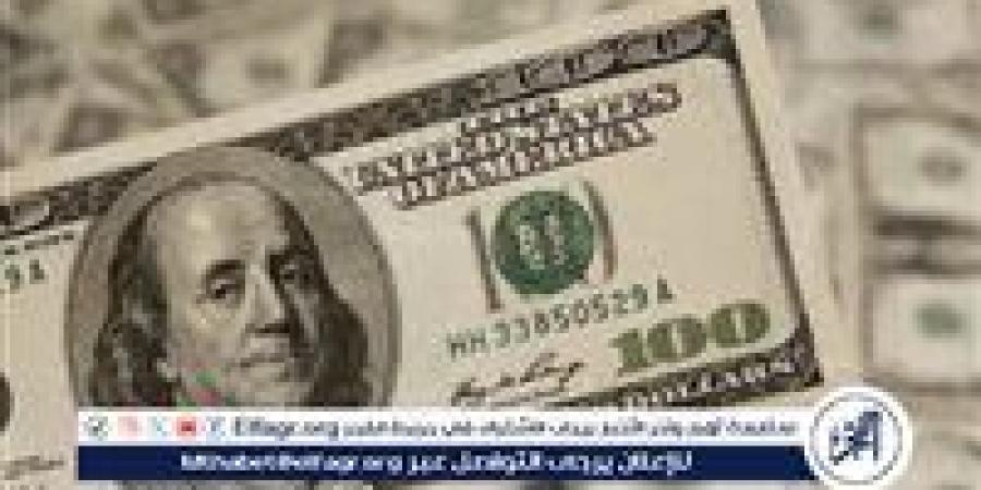 بالبلدي: استقرار سعر الدولار مقابل الجنيه المصري اليوم الخميس 10 أكتوبر 2024 - بلس 48