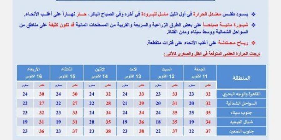 بالبلدي : «حار نهارا مائل للبرودة ليلا».. الأرصاد تكشف حالة الطقس خلال الأسبوع المقبل - بلس 48
