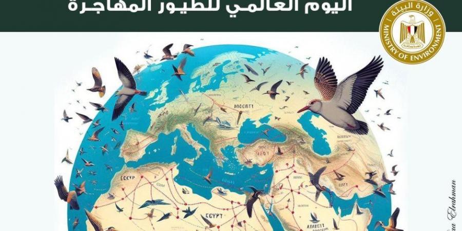 وزيرة البيئة: مصر قبلة الطيور المهاجرة ومحطة هامة للتكاثر والغذاء - بلس 48