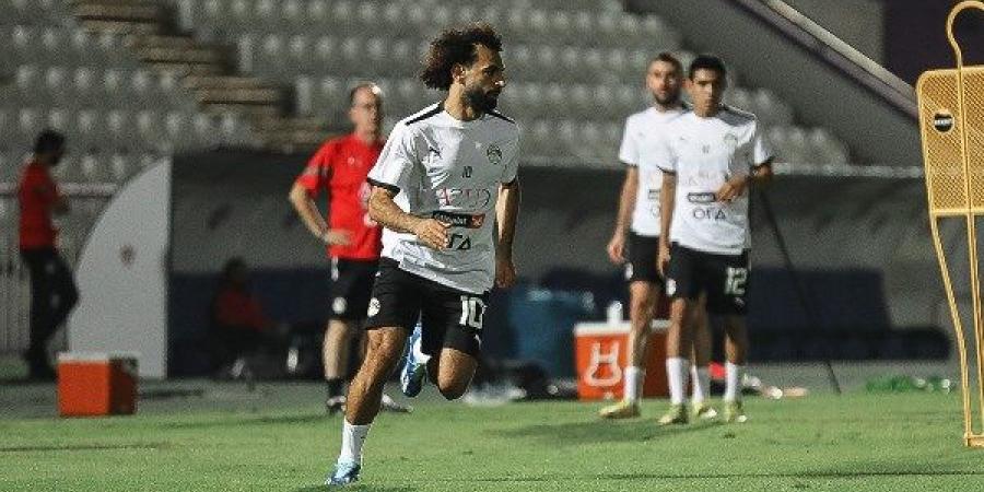 «نجيل صناعي».. حسام حسن ينقل تدريبات المنتخب على ملاعب زد بالتجمع - بلس 48