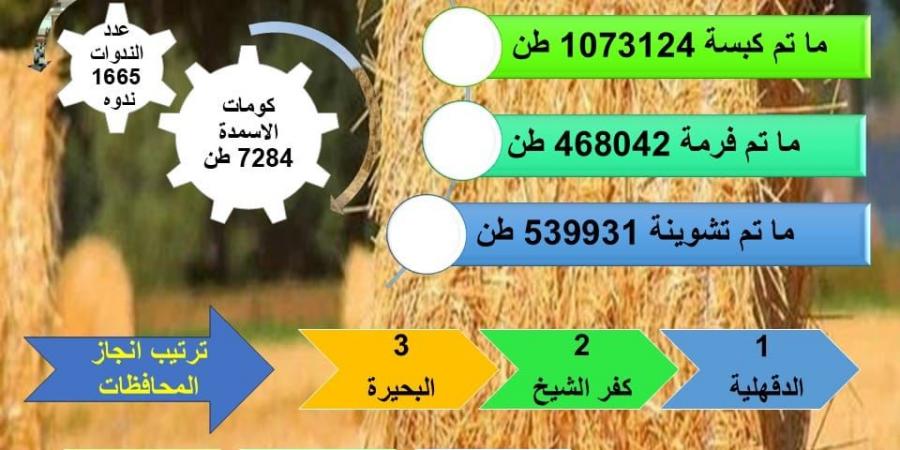 الزراعة: جمع وتدوير 1.73 مليون طن من قش الأرز في 6 محافظات - بلس 48