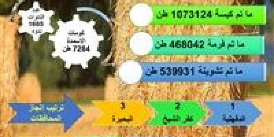 جمع وتدوير قش الأرز حصاد ٧٨٪ من المساحات المنزرعة وإنتاج أكثر من ٧٢٠٠ طن أسمدة عضوية - بلس 48