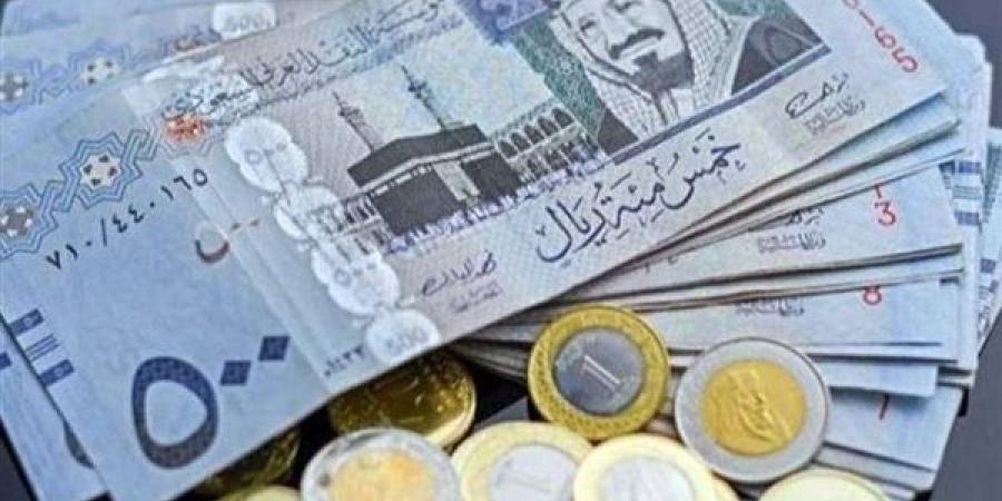 بالبلدي: سعر الريال السعودي أمام الجنيه المصري اليوم 14 أكتوبر 2024 - بلس 48