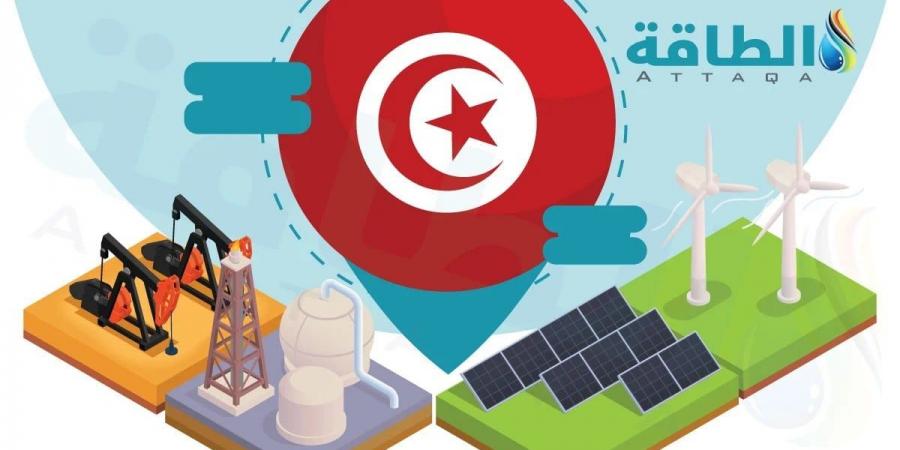 مسؤول لـ"الطاقة": مشروعات الطاقة الشمسية في تونس تشهد انفراجة - بلس 48