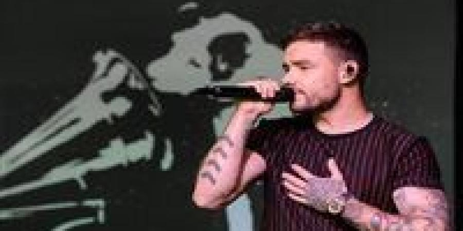 رحيل ليام باين نجم فرقة One Direction.. سقط من شرفة منزله بالأرجنتين - بلس 48