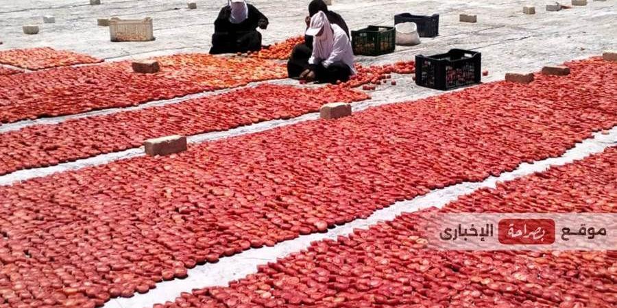 عن «طماطم لدغة الثعبان».. رئيس شعبة الخضروات: «الشعب المصري بيأكل بعنيه قبل لسانه» - بلس 48