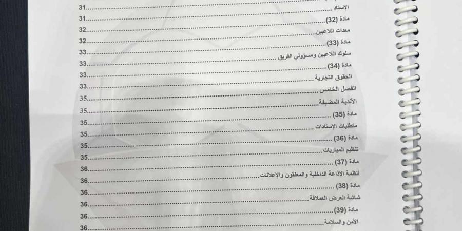 خاص لـ تحيا مصر: لائحة المسابقات والعقوبات في الدوري الممتاز 2024/2025| صور - بلس 48