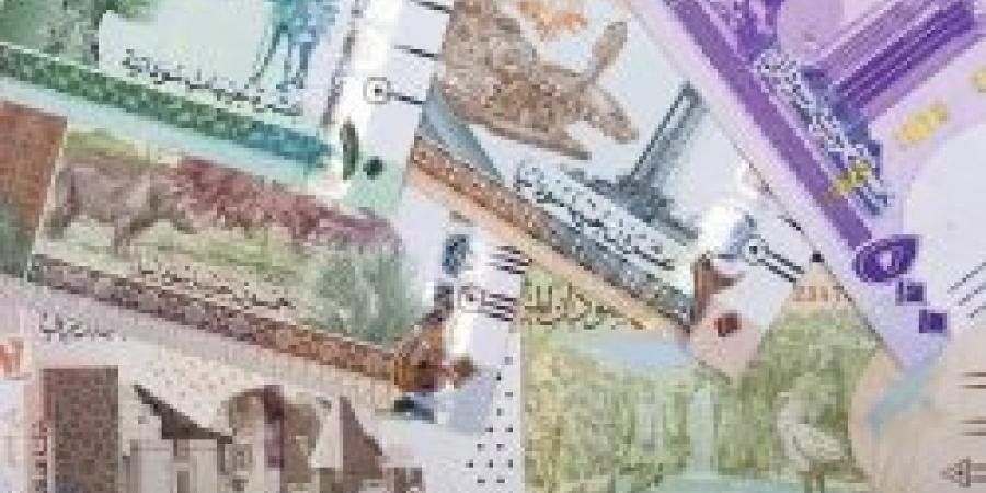 سعر الجنيه السوداني مقابل الريال السعودي اليوم الأربعاء 23 أكتوبر 2024 في ختام التعاملات - بلس 48