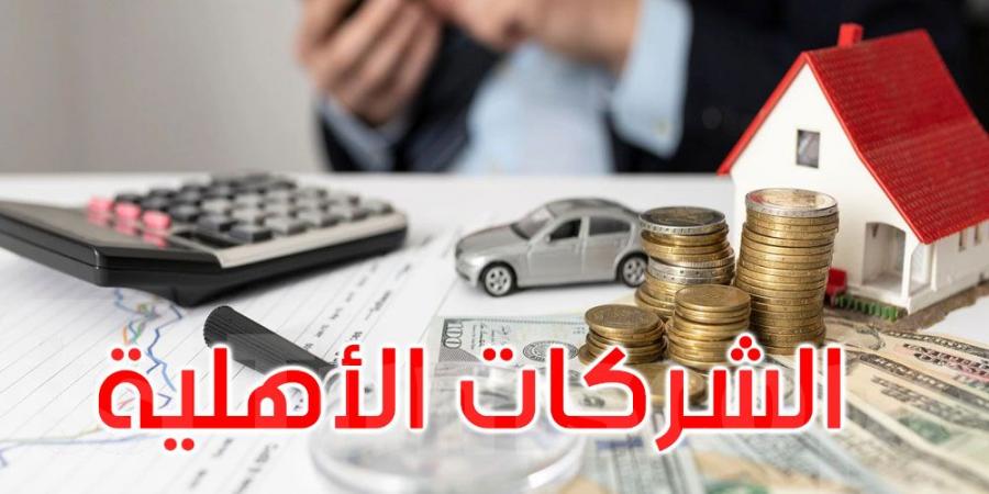 إجراءات جديدة لضمان ديمومة الشركات الأهلية - بلس 48