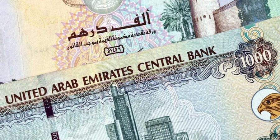 سعر الدرهم الإماراتي خلال التعاملات المسائية اليوم الجمعة -  بلس 48