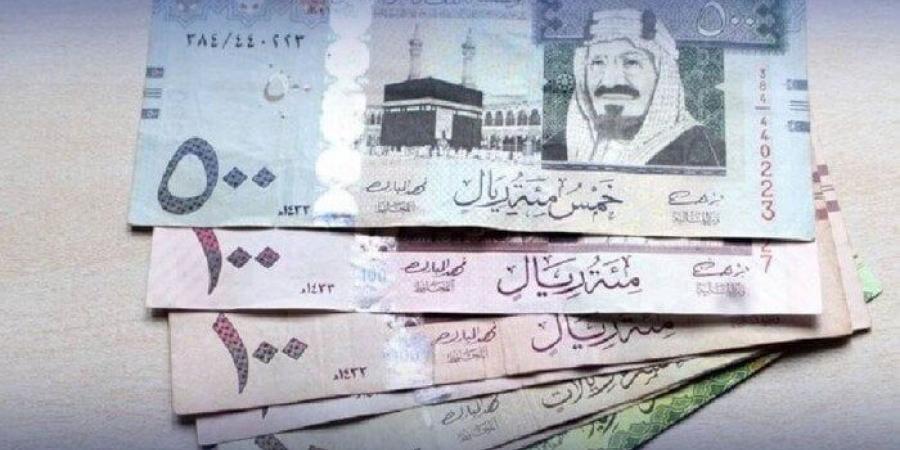 سعر الريال السعودي مقابل الجنيه المصري اليوم السبت 26 أكتوبر 2024.. كم يسجل في البنك المركزي؟ -  بلس 48