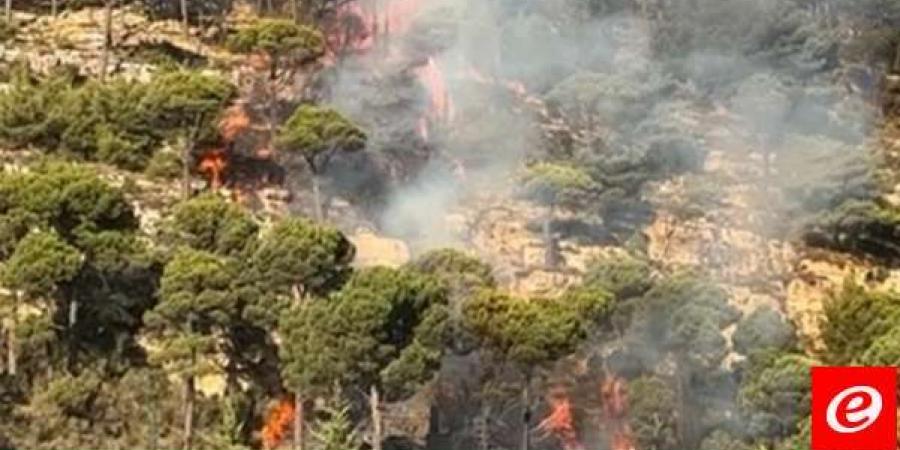 حريقان في خراج قيتولي- جزين وبلدة مرياطه قضاء زغرتا وطوافات الجيش تتدخل - بلس 48