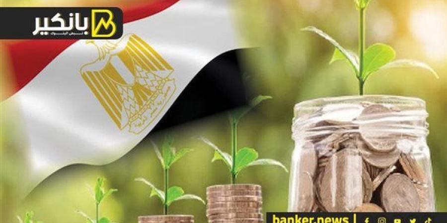 بوابة مليارات... إيه حكاية استثمارات التحول الأخضر في مصر - بلس 48