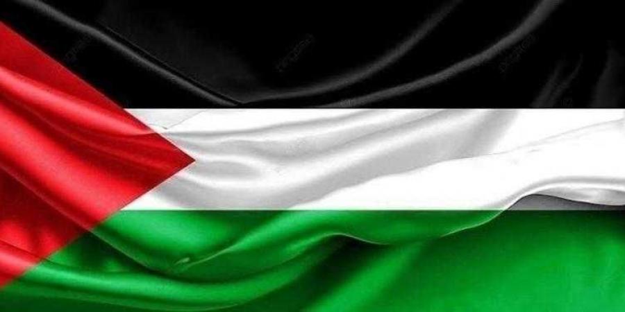 مصر تحيي اليوم الدولي للتضامن مع الشعب الفلسطيني - بلس 48