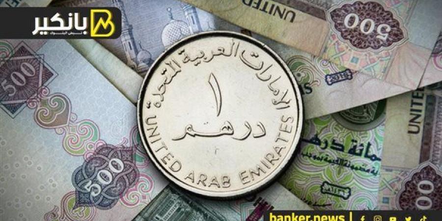 سعر الدرهم الإماراتي أمام الجنيه المصري في تعاملات اليوم الإثنين 2-12-2024 - بلس 48