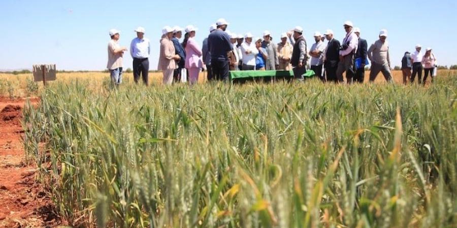 الأكبر في القارة الإفريقية.. "الفلاحة الأمريكية" تنظم أول بعثة إلى المغرب - بلس 48