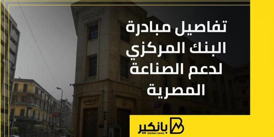 تفاصيل مبادرة البنك المركزي لدعم الصناعة المصرية - بلس 48