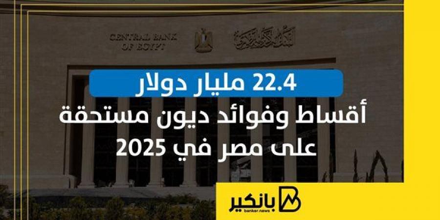 انفوجرافيك|22.4 مليار دولار أقساط وفوائد ديون مستحقة على مصر في 2025 - بلس 48