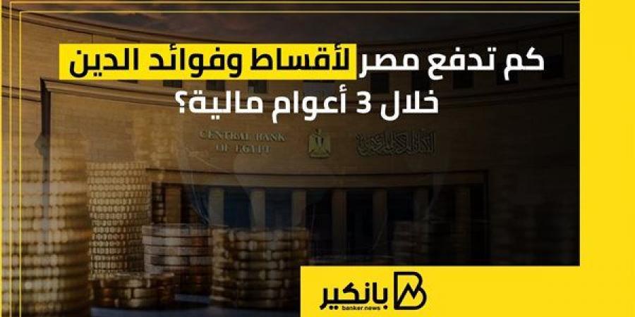 كم تدفع مصر لأقساط وفوائد الدين خلال 3 أعوام ... - بلس 48