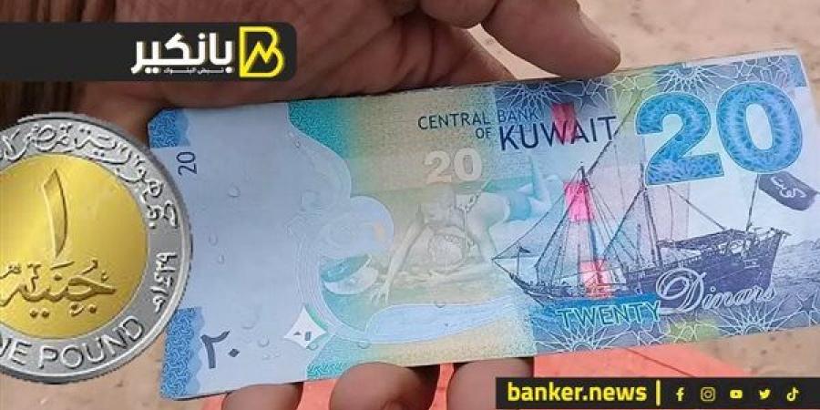 سعر الدينار الكويتي أمام الجنيه المصري في تعاملات اليوم الأحد 15-12-2024 - بلس 48