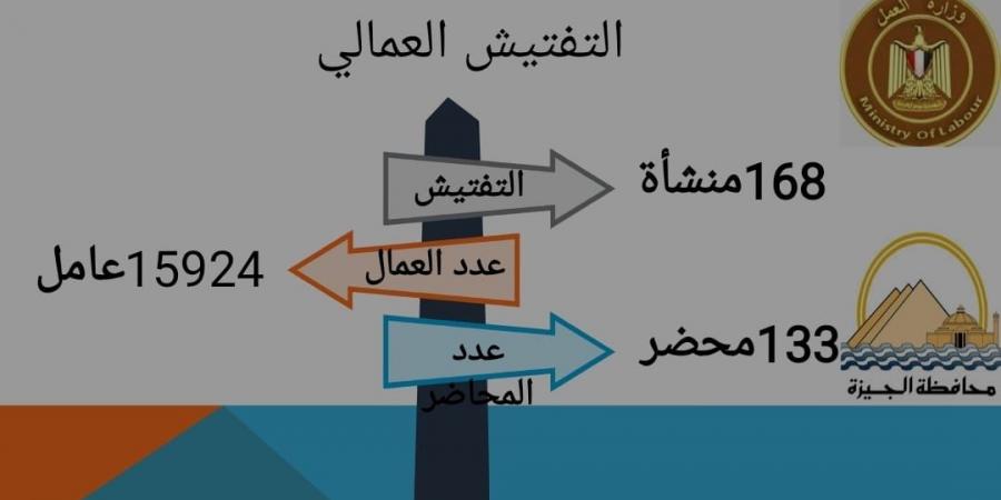 محافظ الجيزة: تفتيش عمالي على 168 منشأة من خلال مديرية العمل وتحرير 133 محضرًا - بلس 48