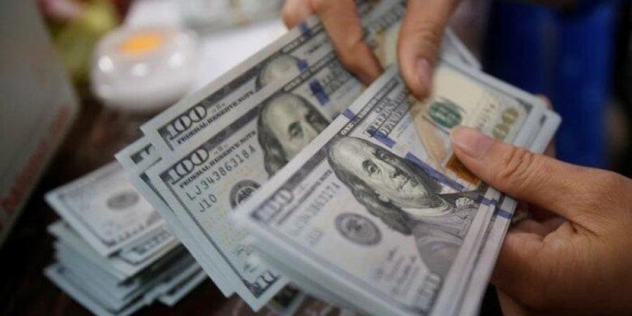 الان بيع وشراء.. سعر الدولار اليوم السبت 28 يونيو 2025 أمام الجنيه المصرى بالبنوك - بلس 48