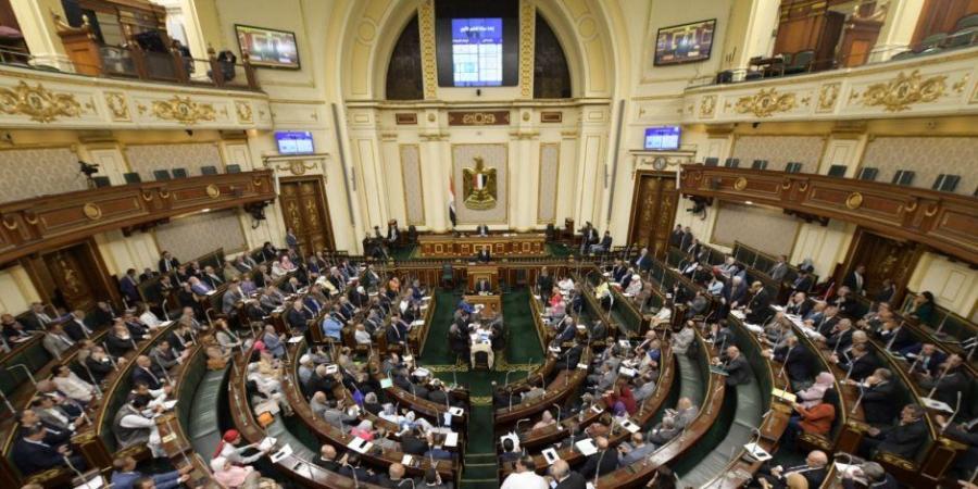 رئيس دفاع النواب: 30 يونيو ثورة تاريخية انتفض فيها الملايين لإنقاذ مصر - بلس 48