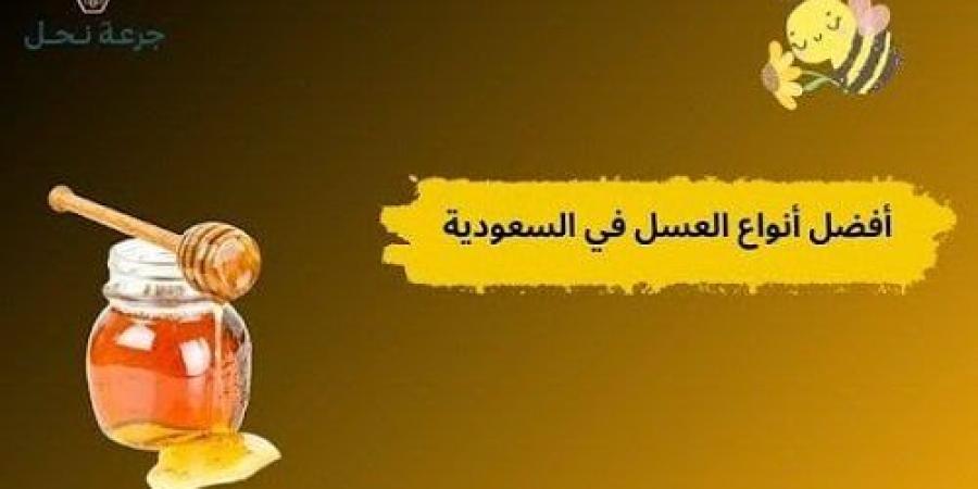 أفضل أنواع العسل في السعودية.. كيف تختار النوع المناسب لك؟ - بلس 48