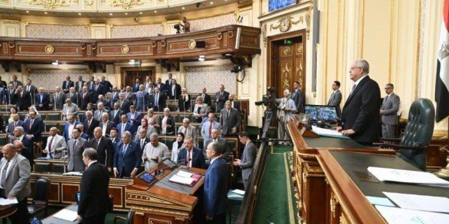 النواب المصري يقف حداداً على أرواح فتيات كفر السنابسة بالمنوفية - بلس 48