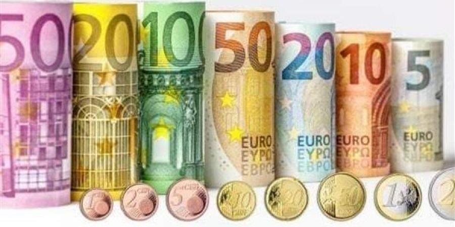 ارتفاع سعر صرف اليورو فى البنوك المصرية مع بداية تعاملات اليوم - بلس 48