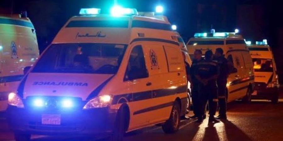 اصطدمت بالرصيف.. مصرع سائق ونجله في حادث سيارة بصحراوي البحيرة - بلس 48