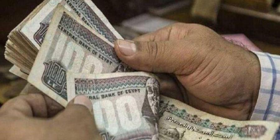 جدول مرتبات شهر يوليو 2025 بعد الزيادات الجديدة - بلس 48