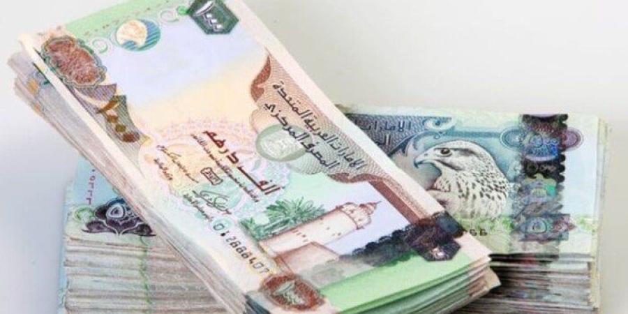 سعر الدرهم الإماراتي اليوم الإثنين 30 يونيو 2025 في بنك مصر والبنك الأهلي - بلس 48
