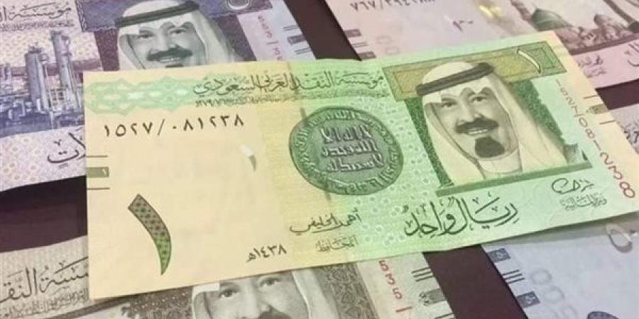 الريال السعودى يسجل 13.19 جنيه فى البنك الاهلى المصرى - بلس 48