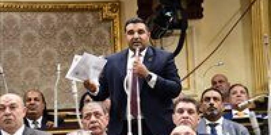 النائب محمود عصام يطالب بإلزام المالك بترميم العقار في اليوم التالي لنشر القانون الجديد بالجريدة الرسمية - بلس 48