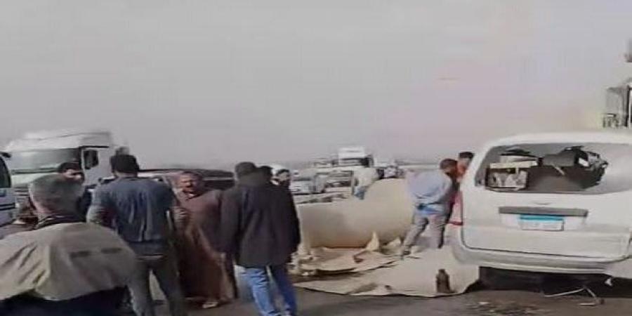 «التضامن» تتلقى تبرعًا بـ38 مليون جنيه لصالح أسر ضحايا حادث الإقليمي بالمنوفية - بلس 48