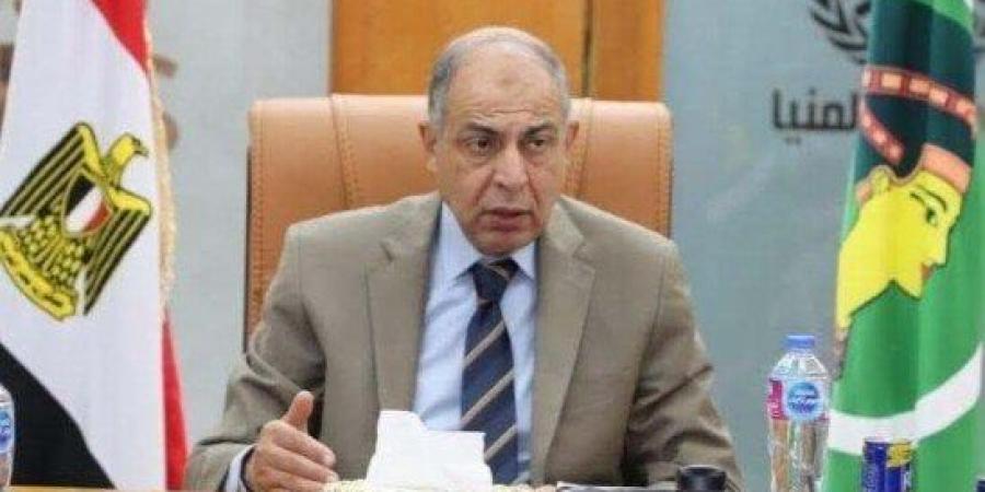 المنيا تطلق خطة شاملة لدعم التمكين الاقتصادي للمرأة وتوفير منافذ دائمة لتسويق المنتجات الحرفية - بلس 48
